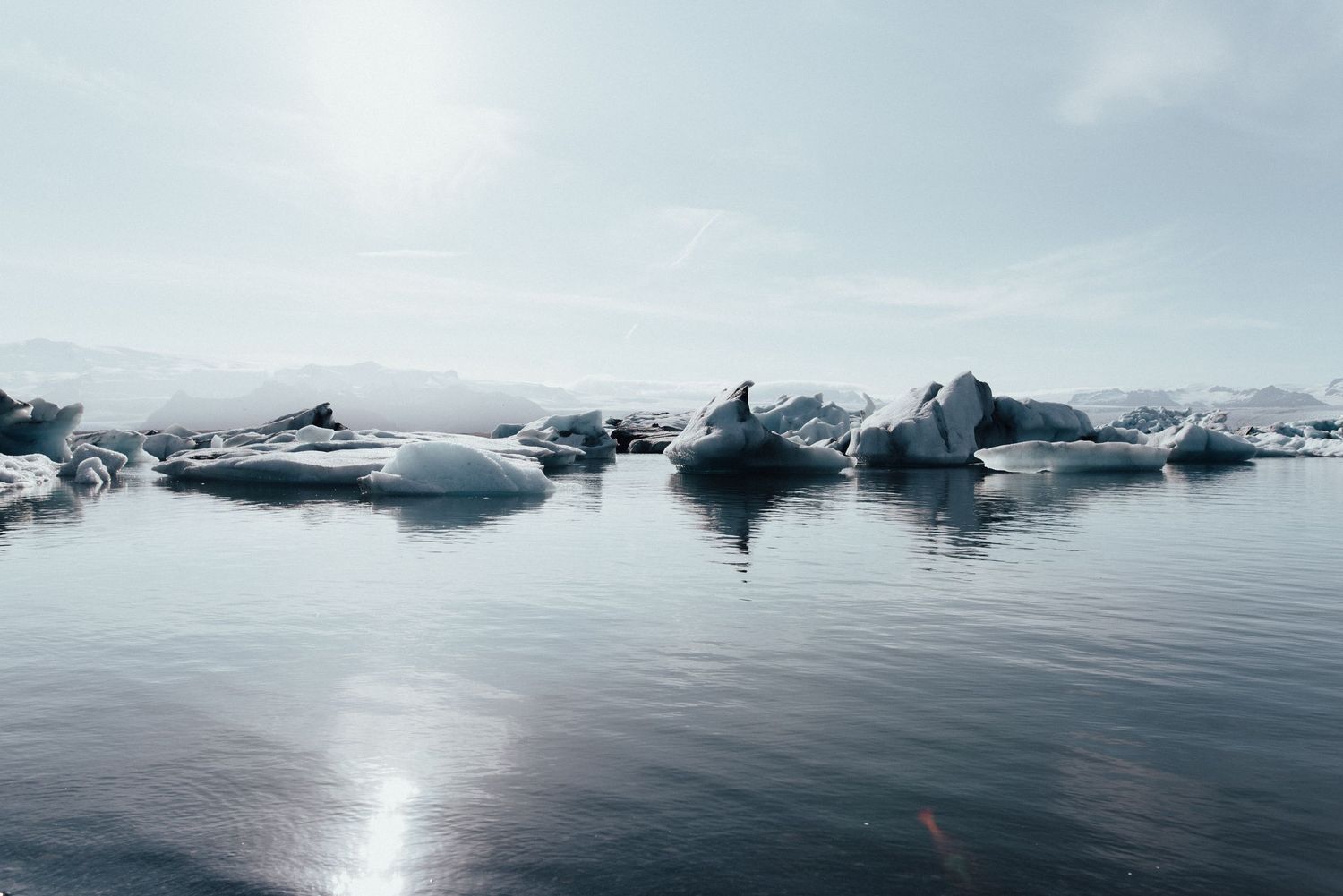 A panoramic view of icebergs floating in calm arctic waters under a misty sky.