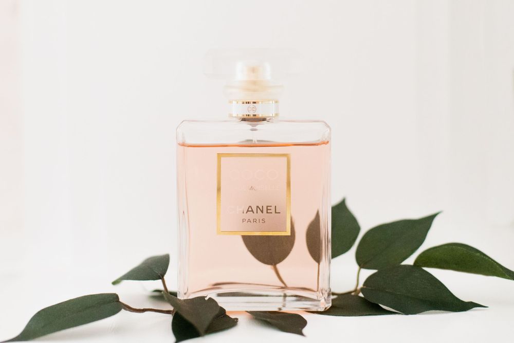 Chanel Coco Mademoiselle perfume bottle surrounded by green leaves against a soft white background.