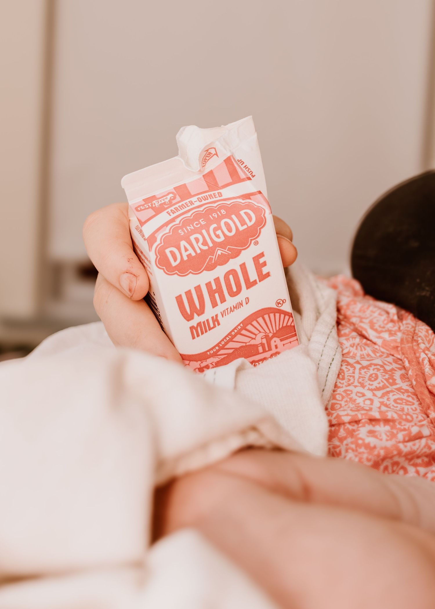 Hand holding a vintage-style carton of Darigold whole milk against a light background.