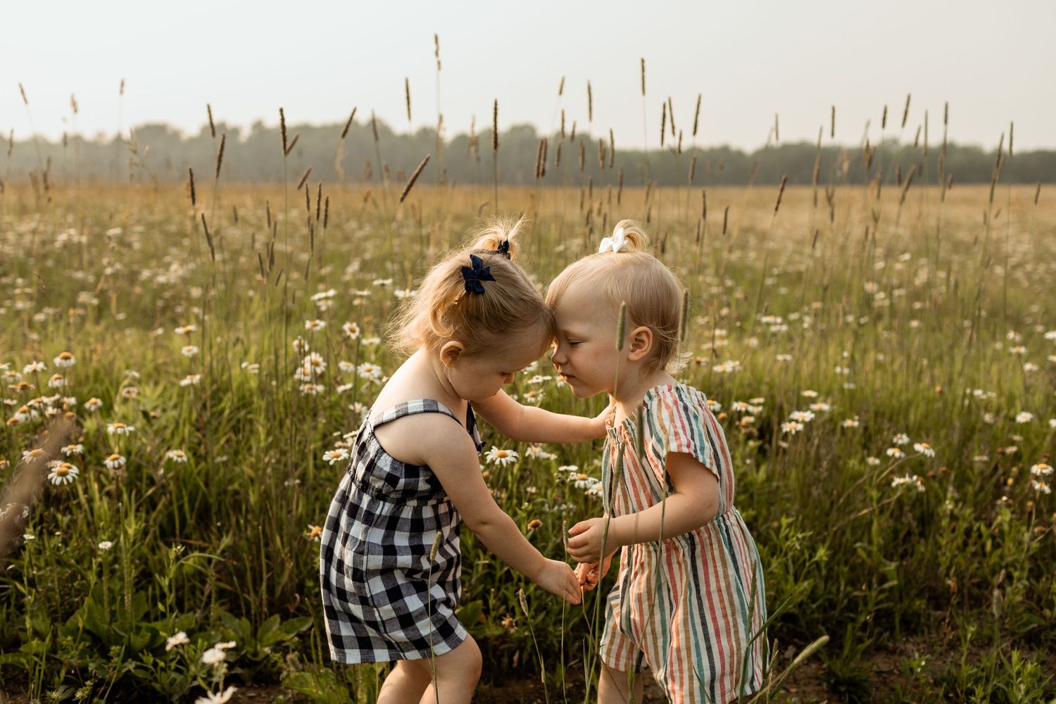 Two small children sharing a sweet moment in a field of wildflowers at sunset.