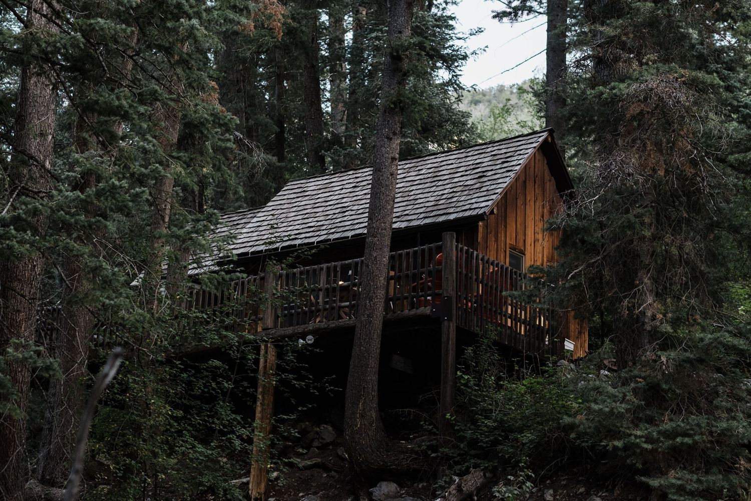 Rustic wooden cabins nestled among tall pine trees in a serene forest setting.