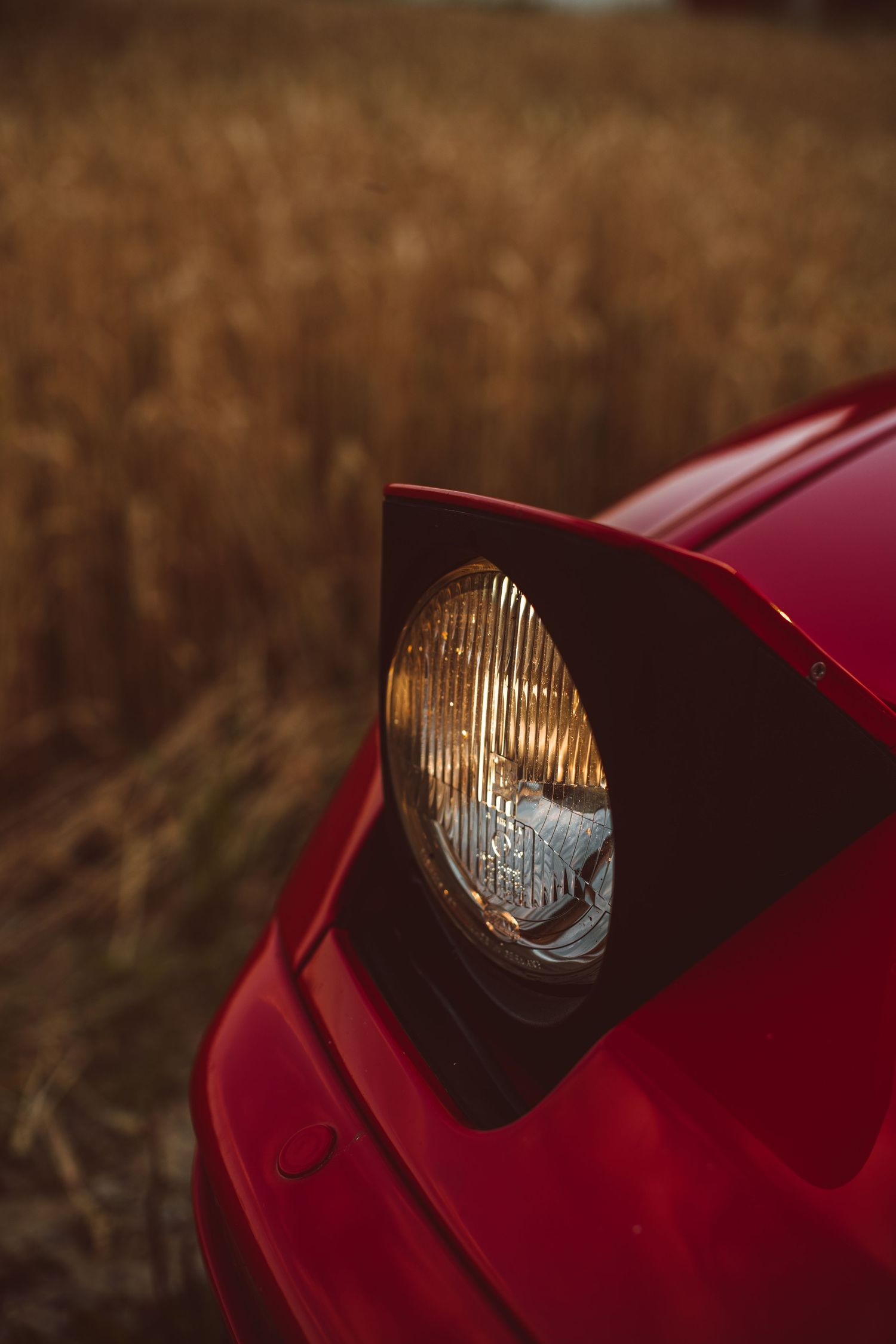 944 in Red