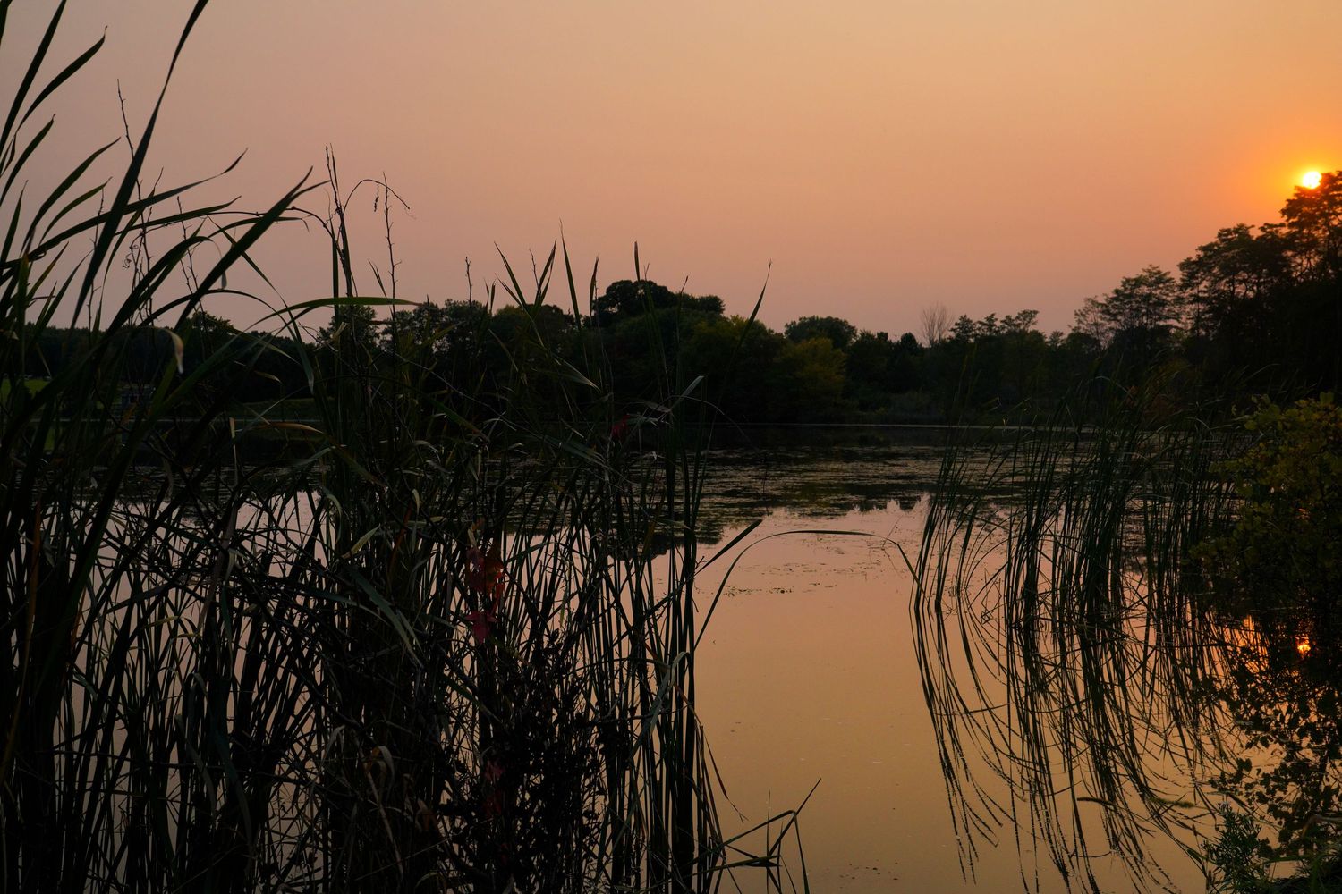 Scenery photo of a lake at sunset
