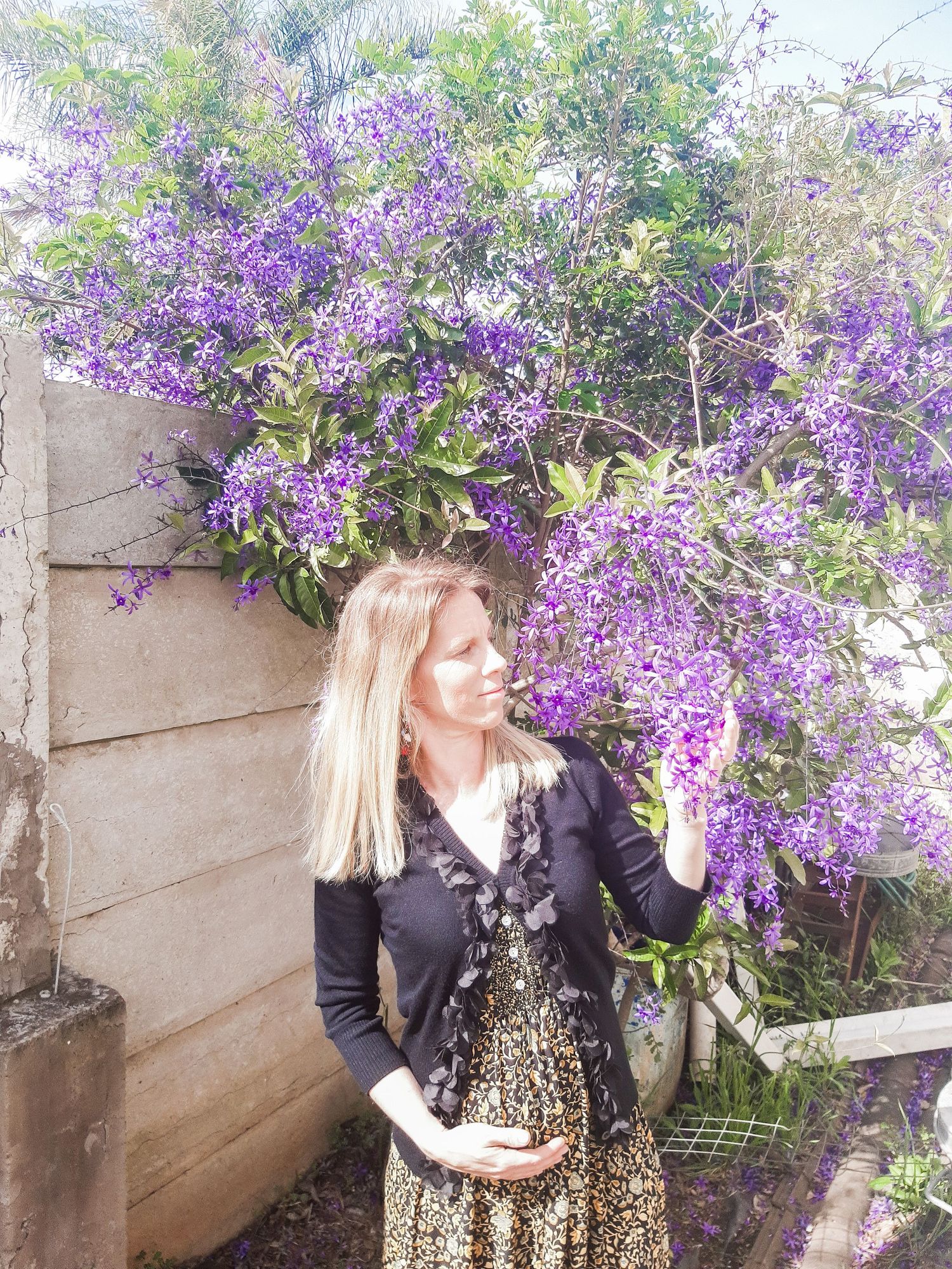 Figure standing beside vibrant purple wisteria flowers against wooden wall.