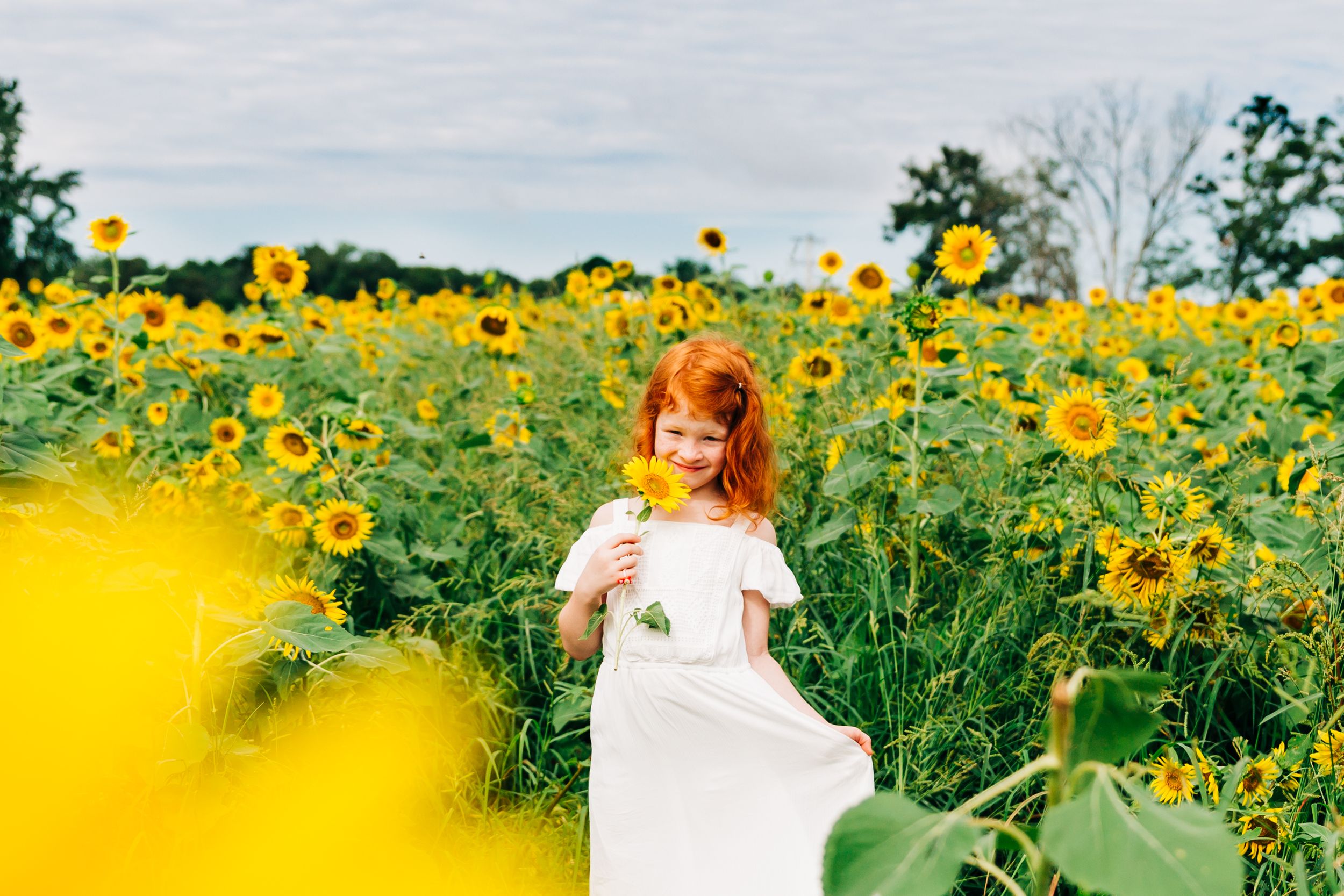 Sunflowers, Goats & Baby 3 Fun at Wise Acres Farm Maternity Photos