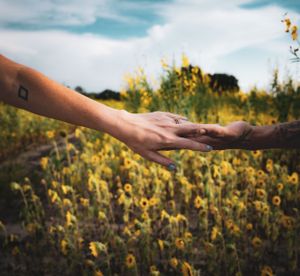 Hand reaching out to touch wildflowers in a sunlit meadow during golden hour.