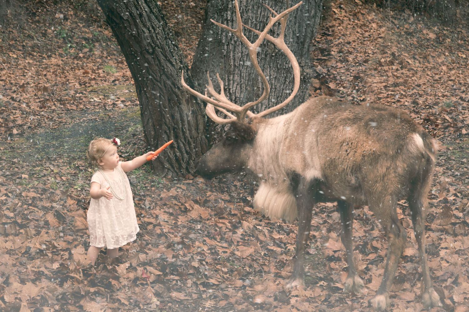 Magical Edit