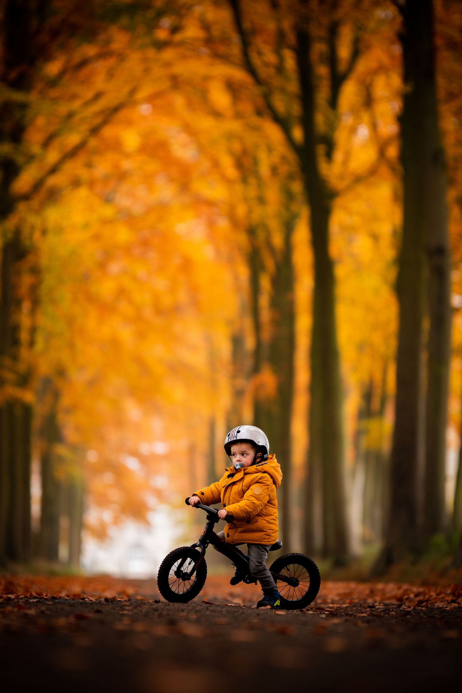 Herfst fotoshoot met deze kleine avonturier in Zottegem.