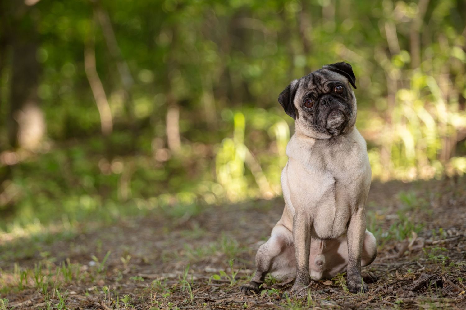 Portrait captured near Winona, Missouri — Ozarks region — Laura Simpson