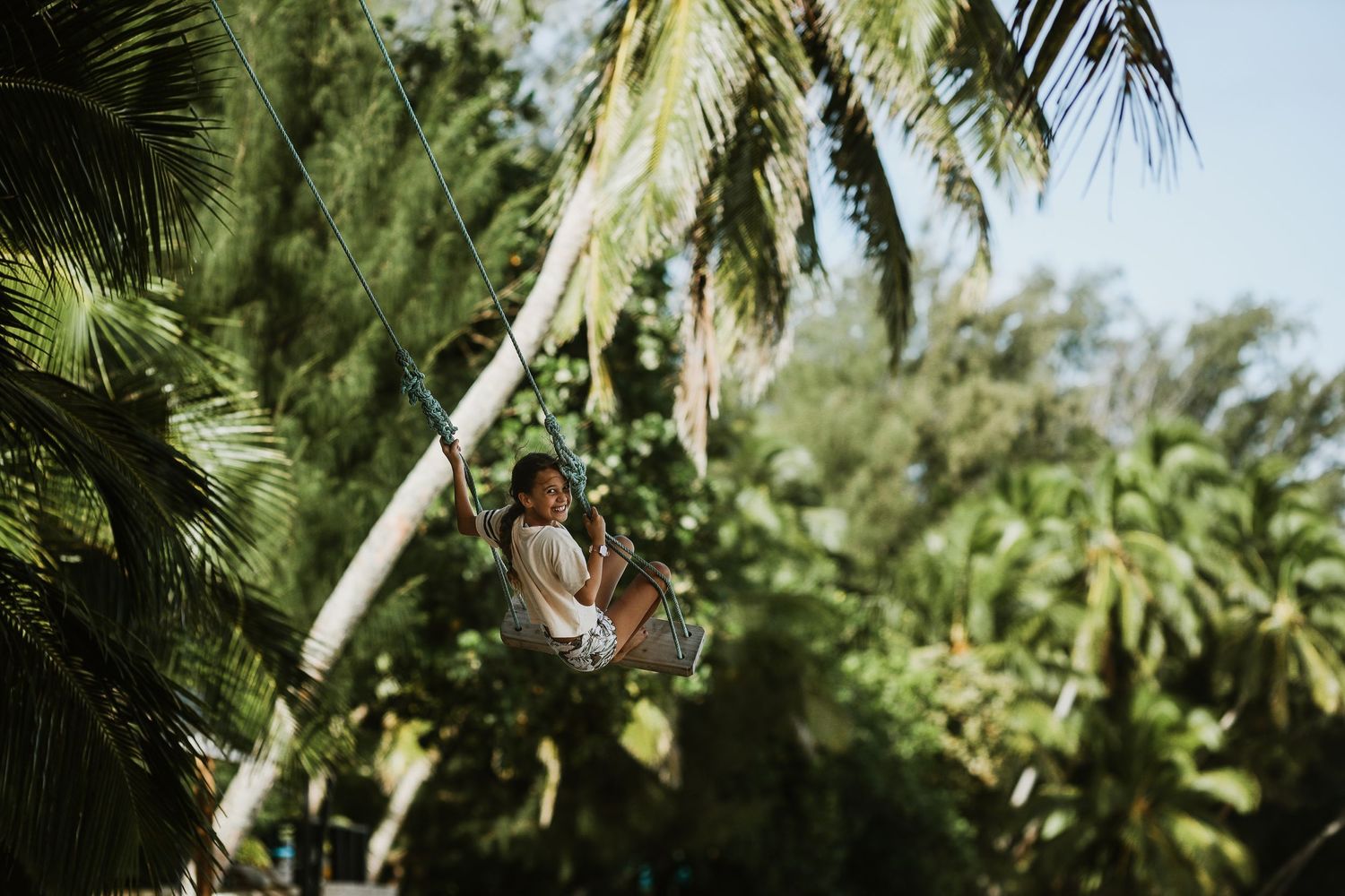A palm tree branch hangs over a tropical vista in soft sunlight.