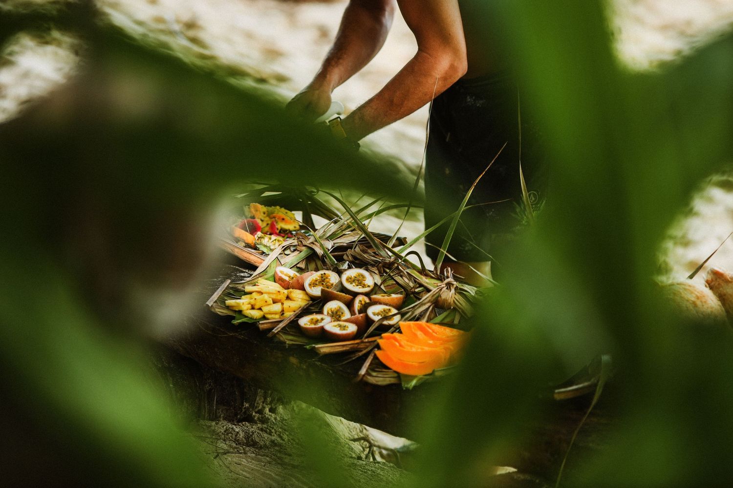 Tropical fruits and snacks served outdoors through green foliage.