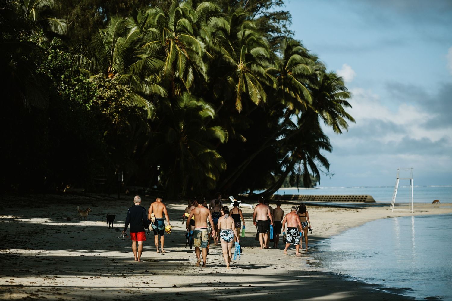 Group walking along palm-lined beach with clear blue water and sky.