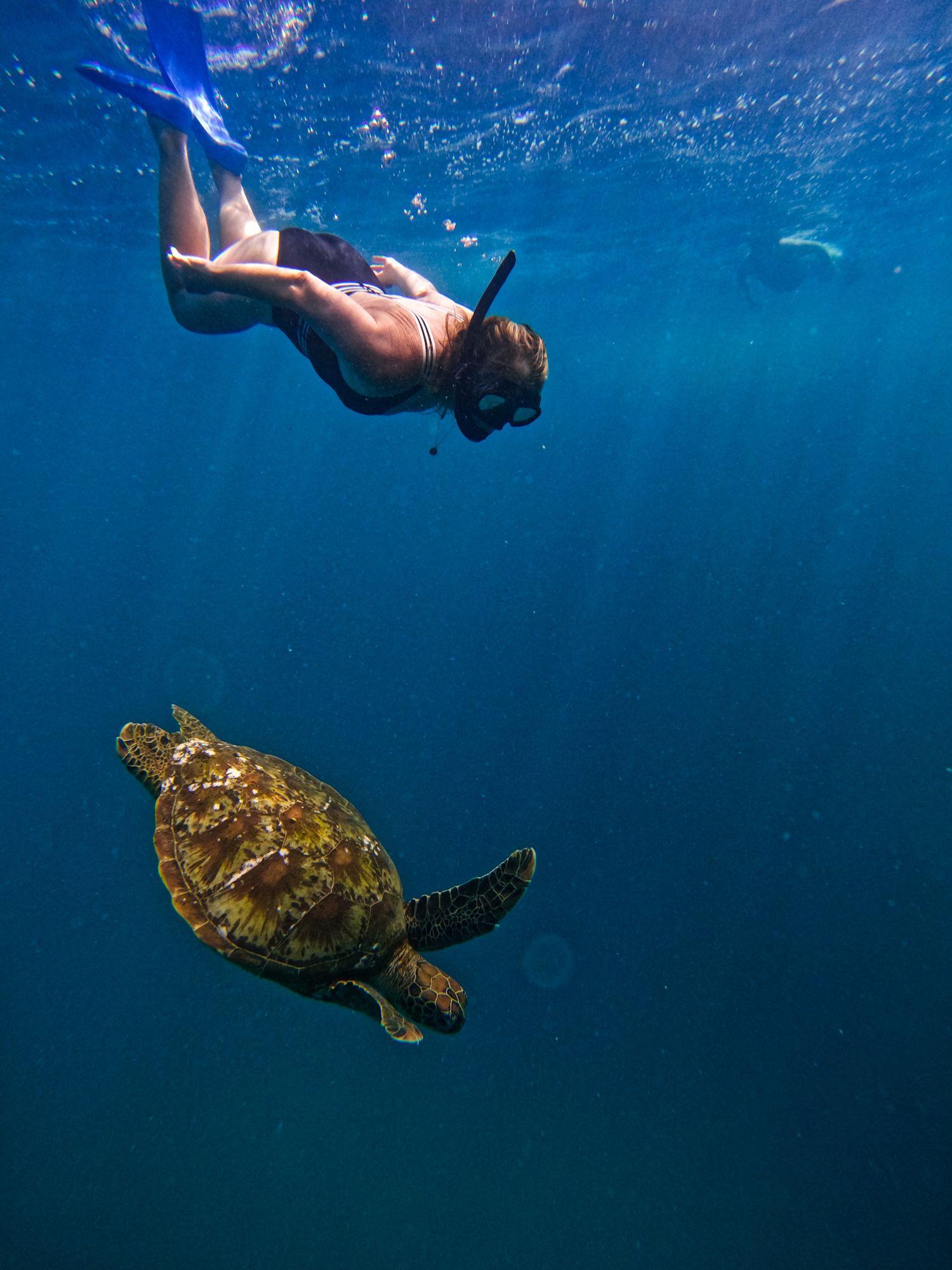 Snorkeler swimming with sea turtle in deep blue ocean waters.