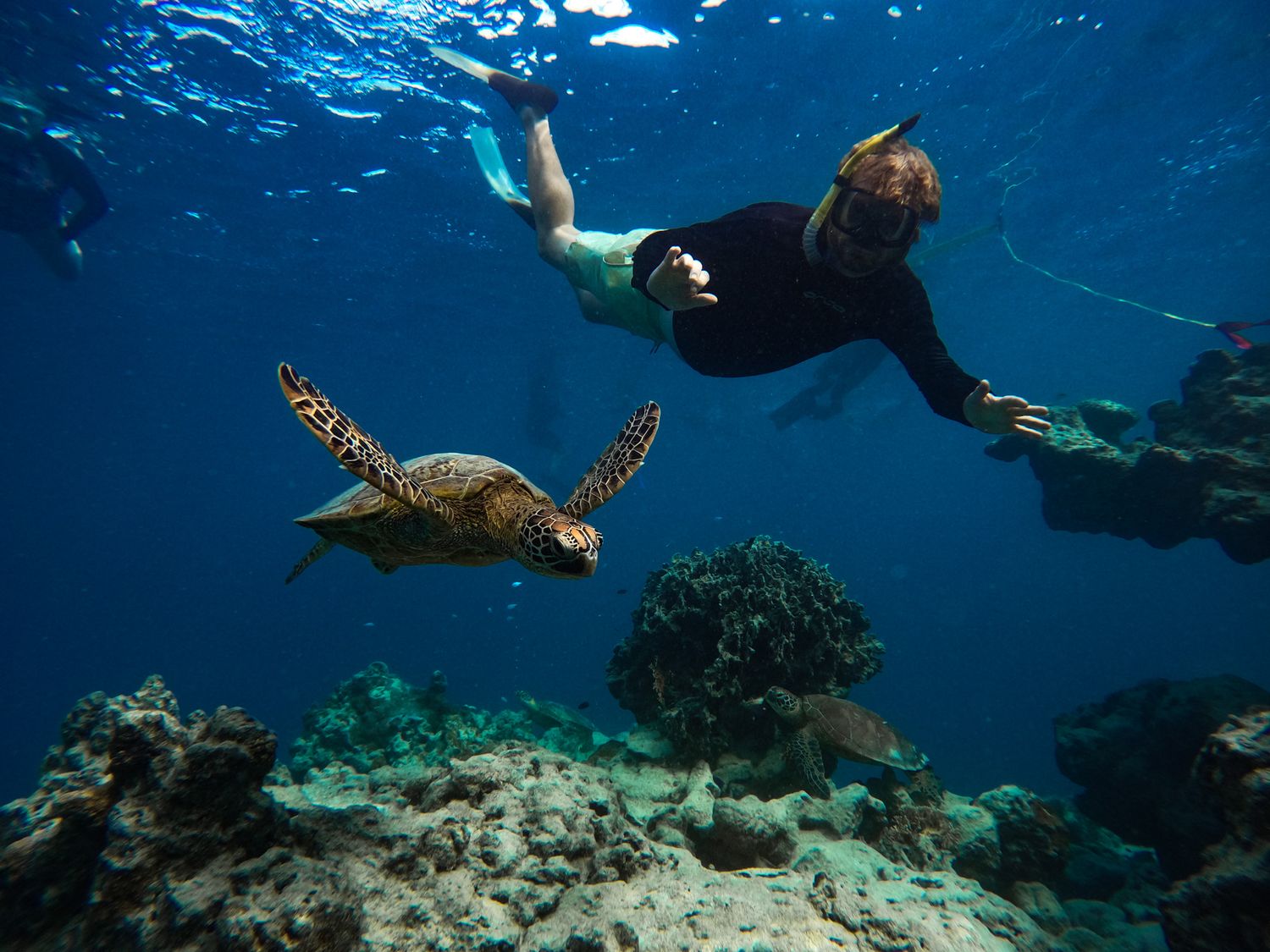 Sea turtle gliding over coral reef with snorkeler swimming above in blue water.