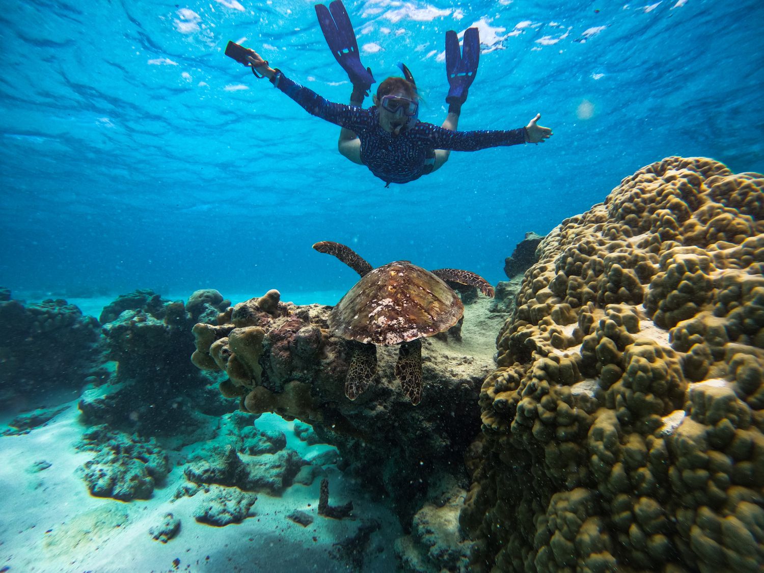 Snorkeler swimming above coral reef alongside sea turtle in crystal clear waters.