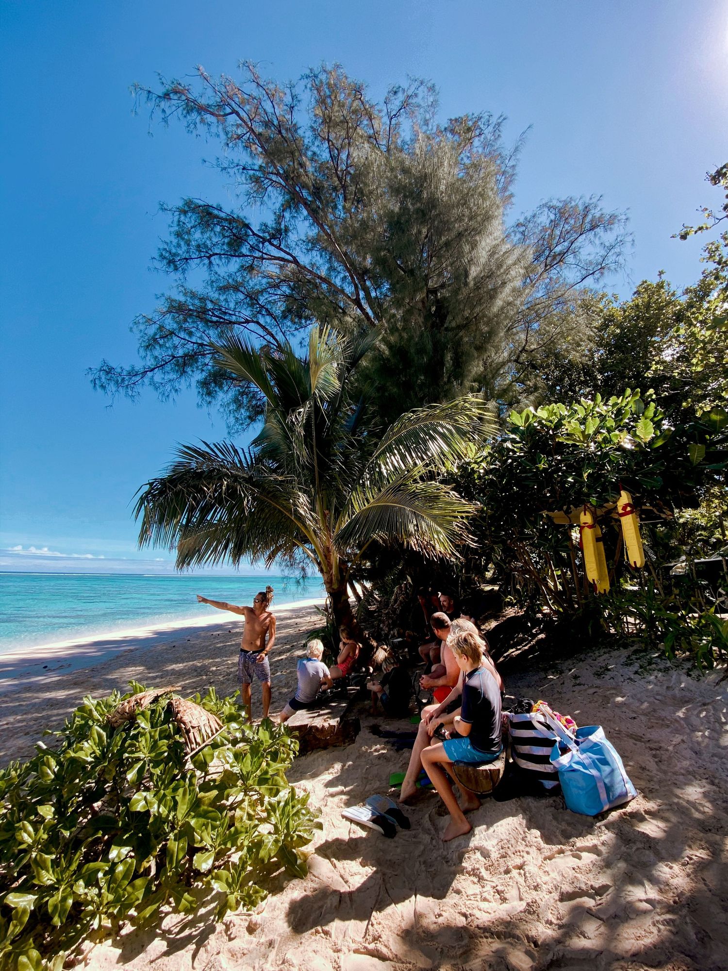 Beachgoers relax under palm trees on a scenic tropical shoreline with crystal clear waters.