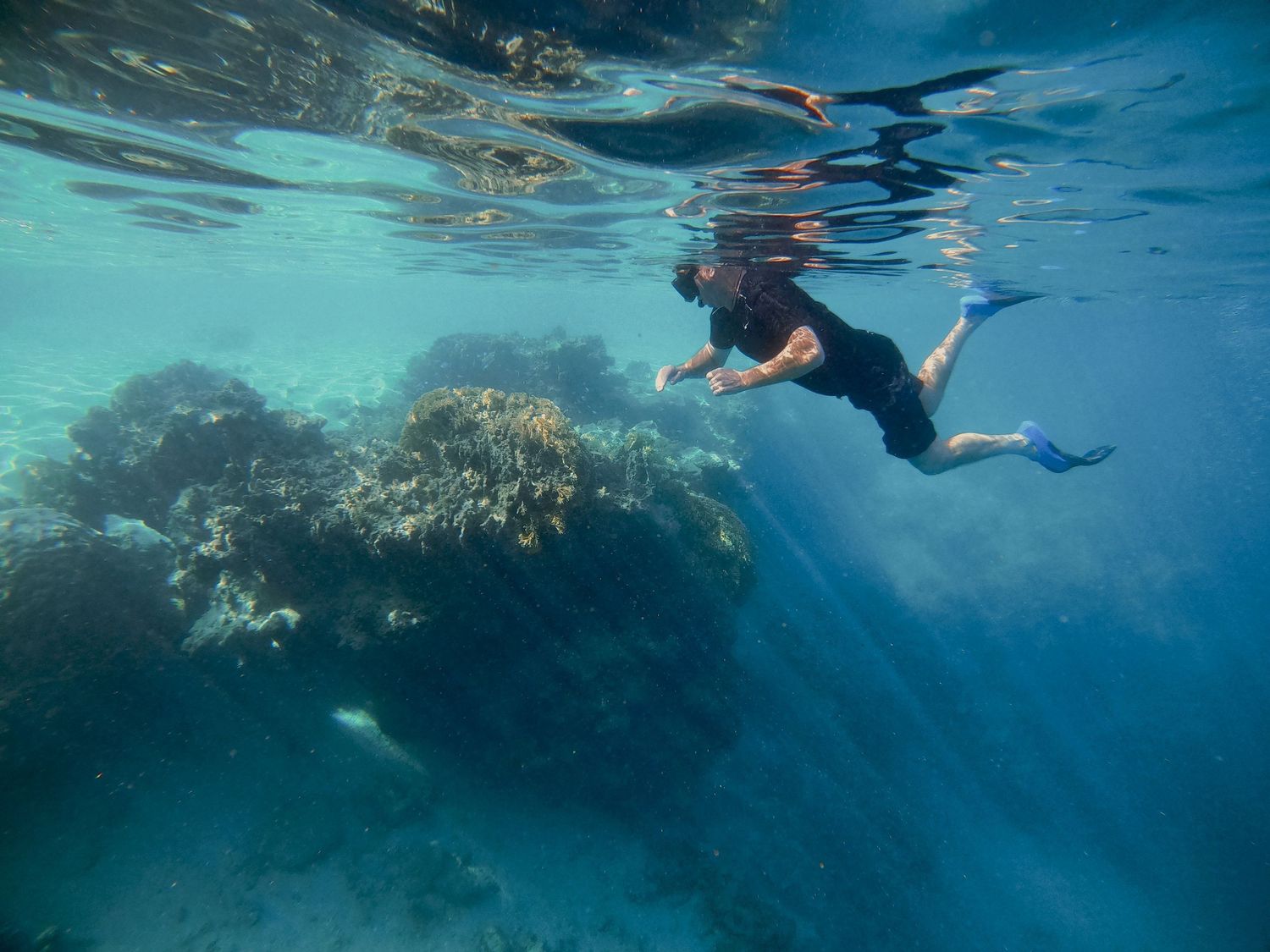 Snorkeler exploring vibrant coral reef formations in crystal clear turquoise water.