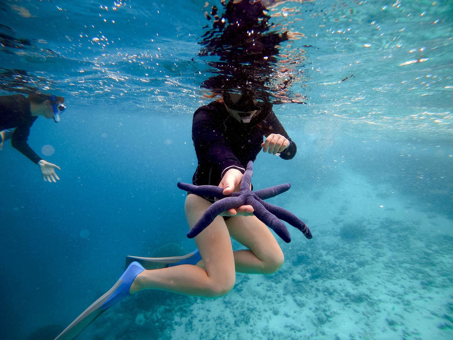 Snorkeler in black wetsuit swimming underwater in clear turquoise ocean.