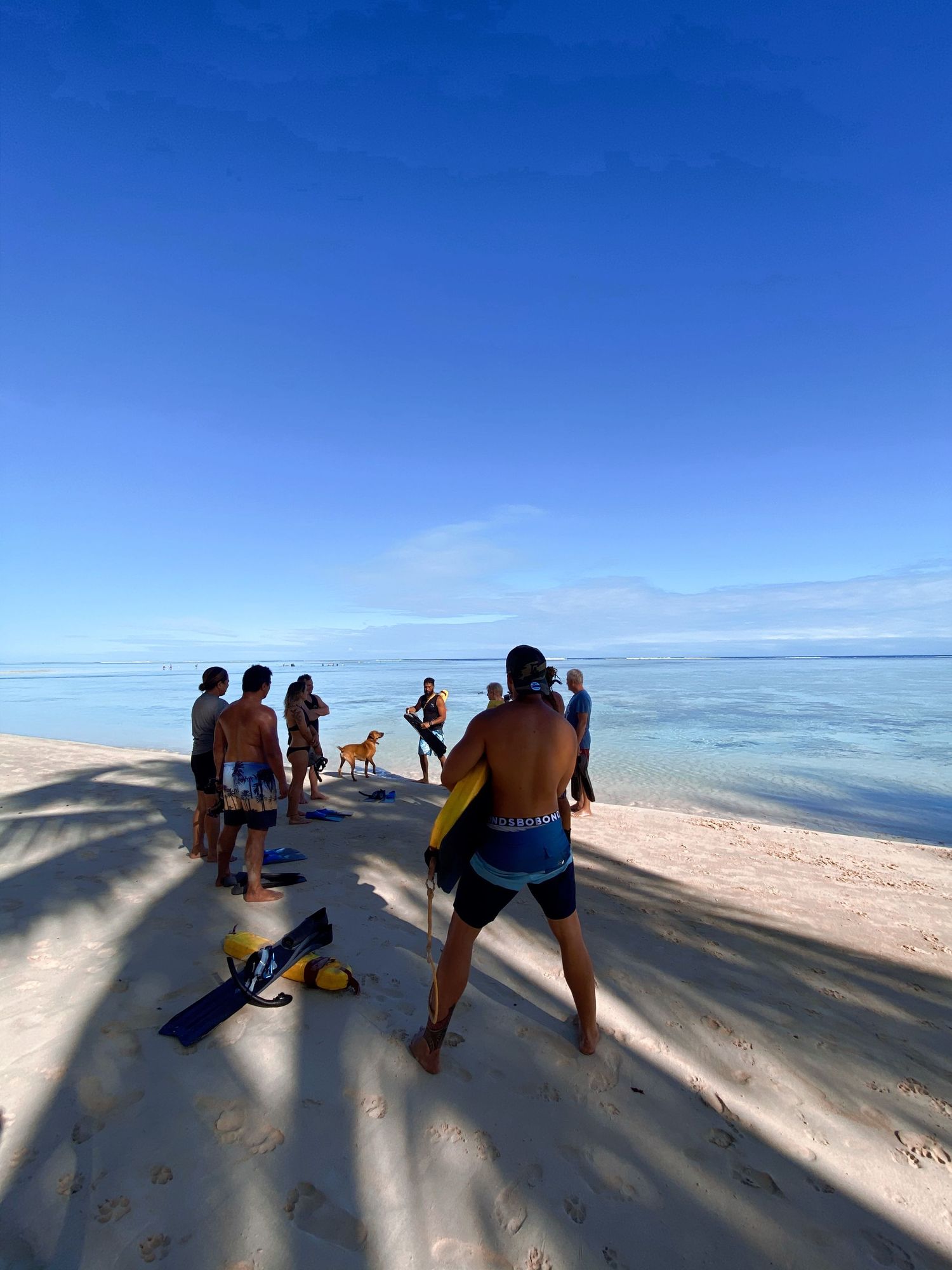 A group of snorkelers prepare their gear on a pristine tropical beach with clear blue waters and palm tree shadows.