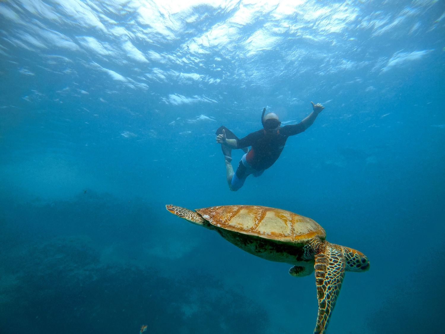 A majestic sea turtle swims below a snorkeler in bright turquoise waters.