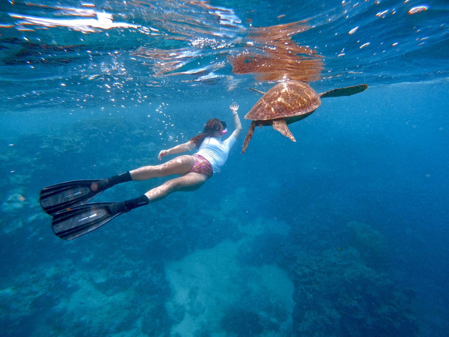 A snorkeler swims alongside a sea turtle in crystal clear tropical waters.