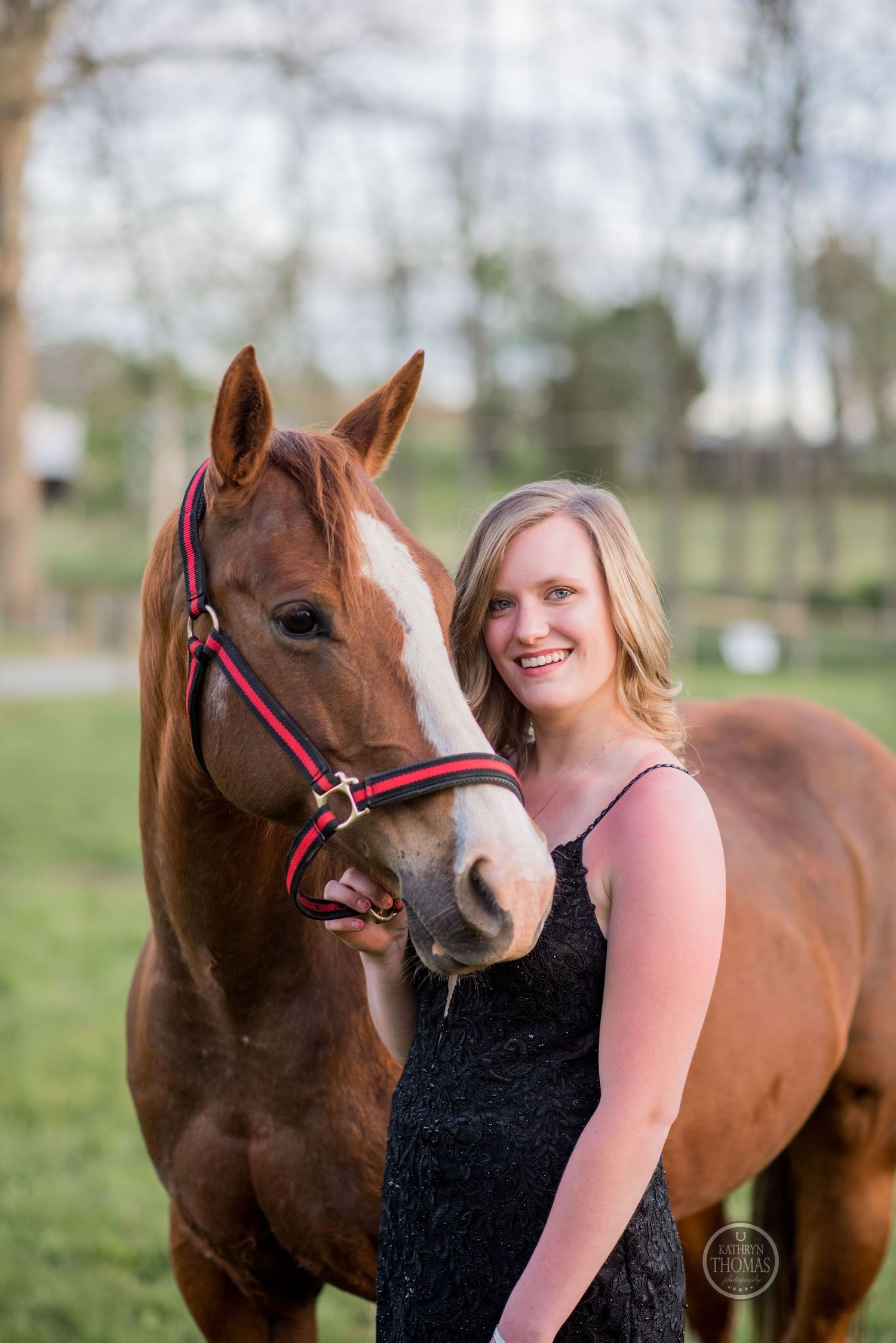 A beautiful chestnut horse with red halter poses with its companion in a black formal dress.