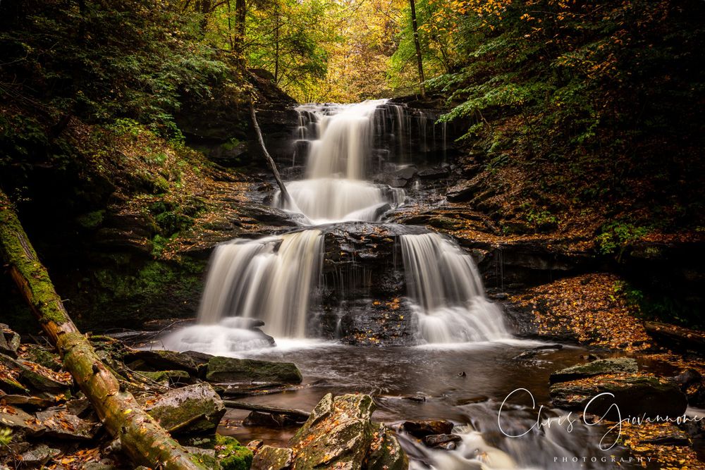 Ricketts Glen State Park