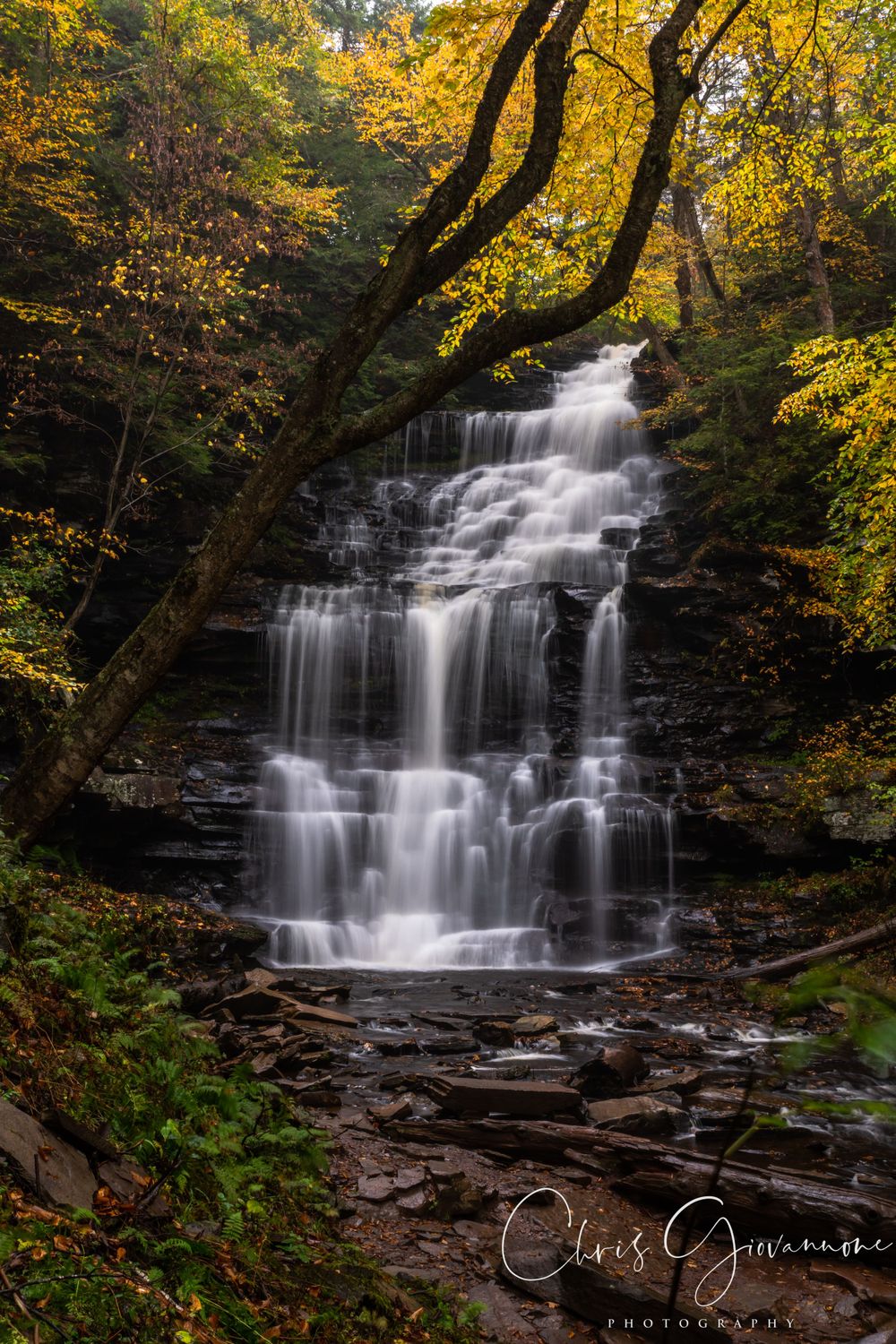 Ricketts Glenn State Park