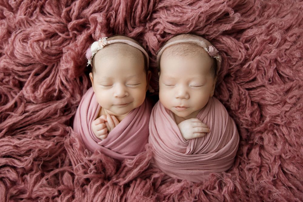 Newborn Twins, Algonquin IL newborn photographer, baby girls wrapped pose on mauve flokatti
