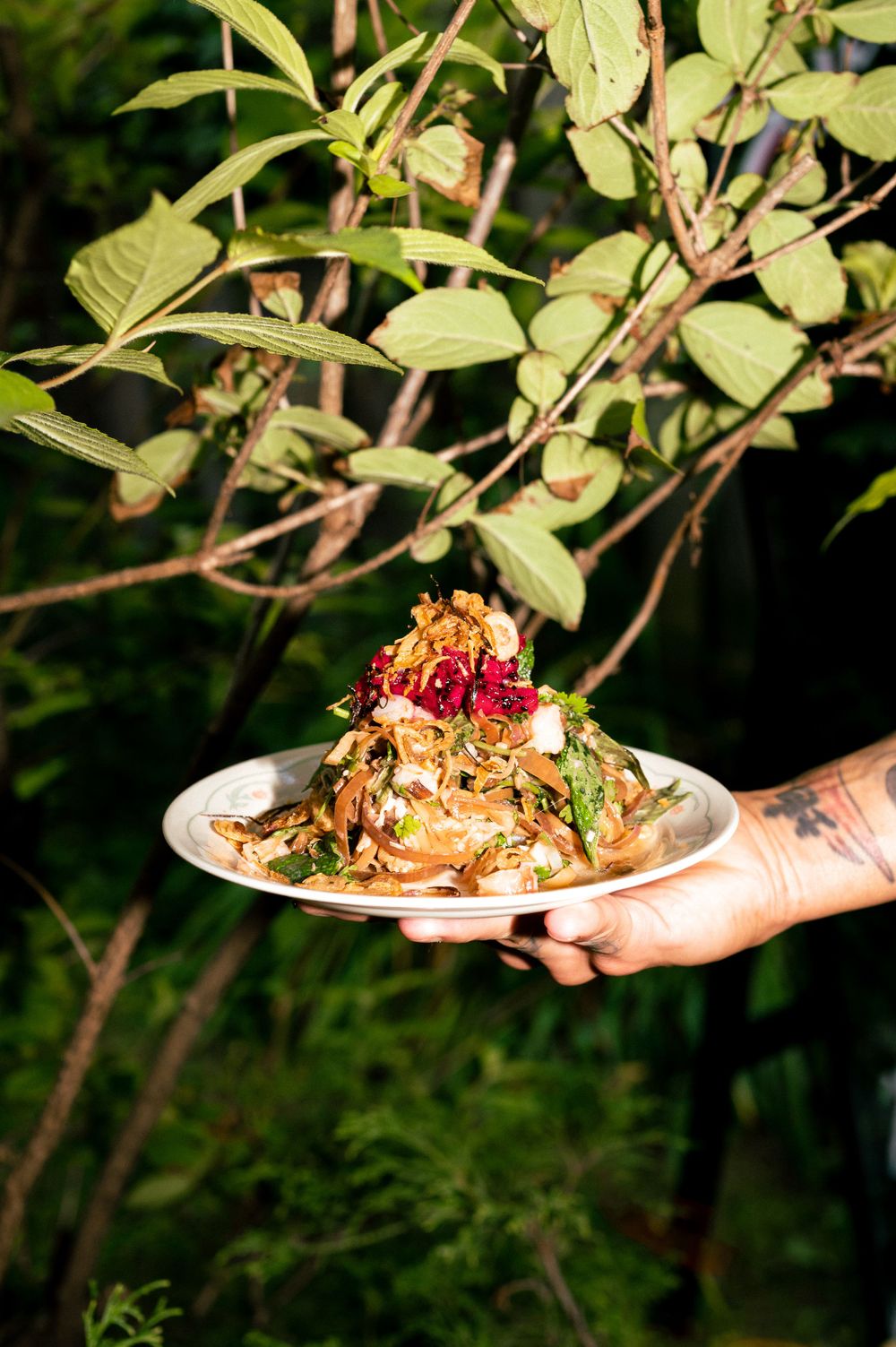 Hands presenting an elegantly plated dish with garnishes against a leafy green background.
