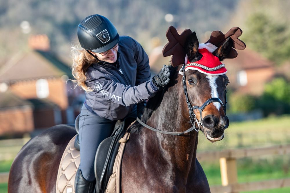 Fun Christmas Photoshoot, horse with Reindeer ears.