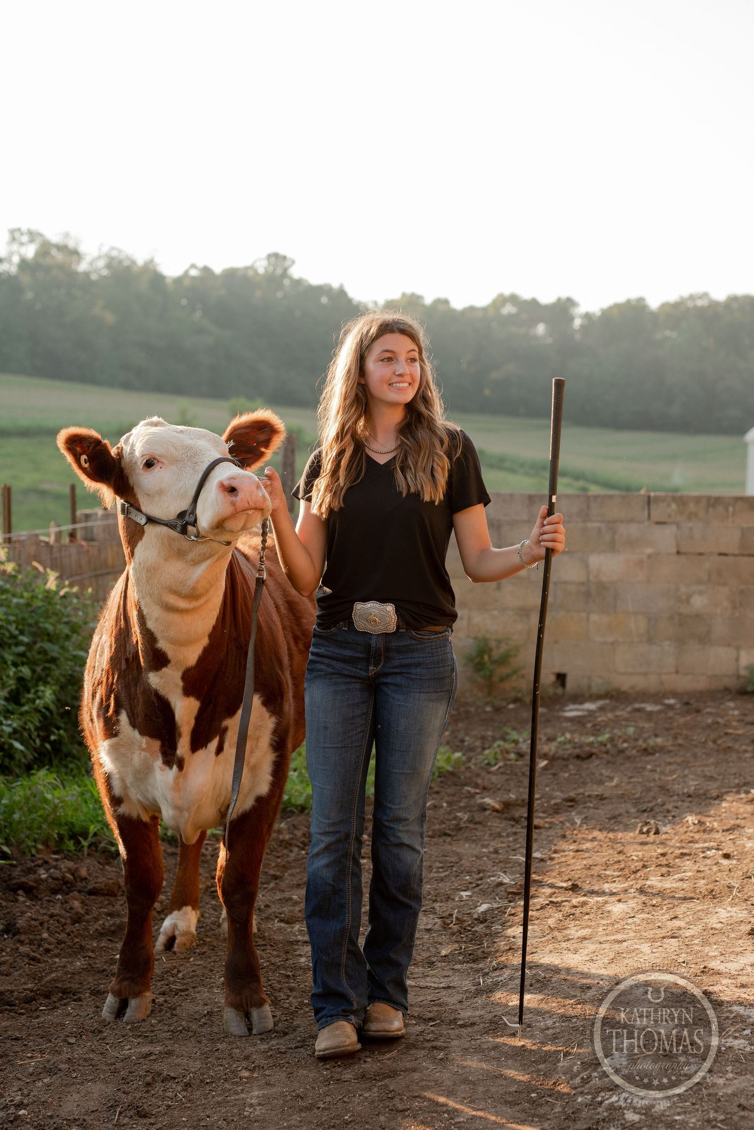 Rural farm portrait with brown and white cow against concrete block wall at golden hour.