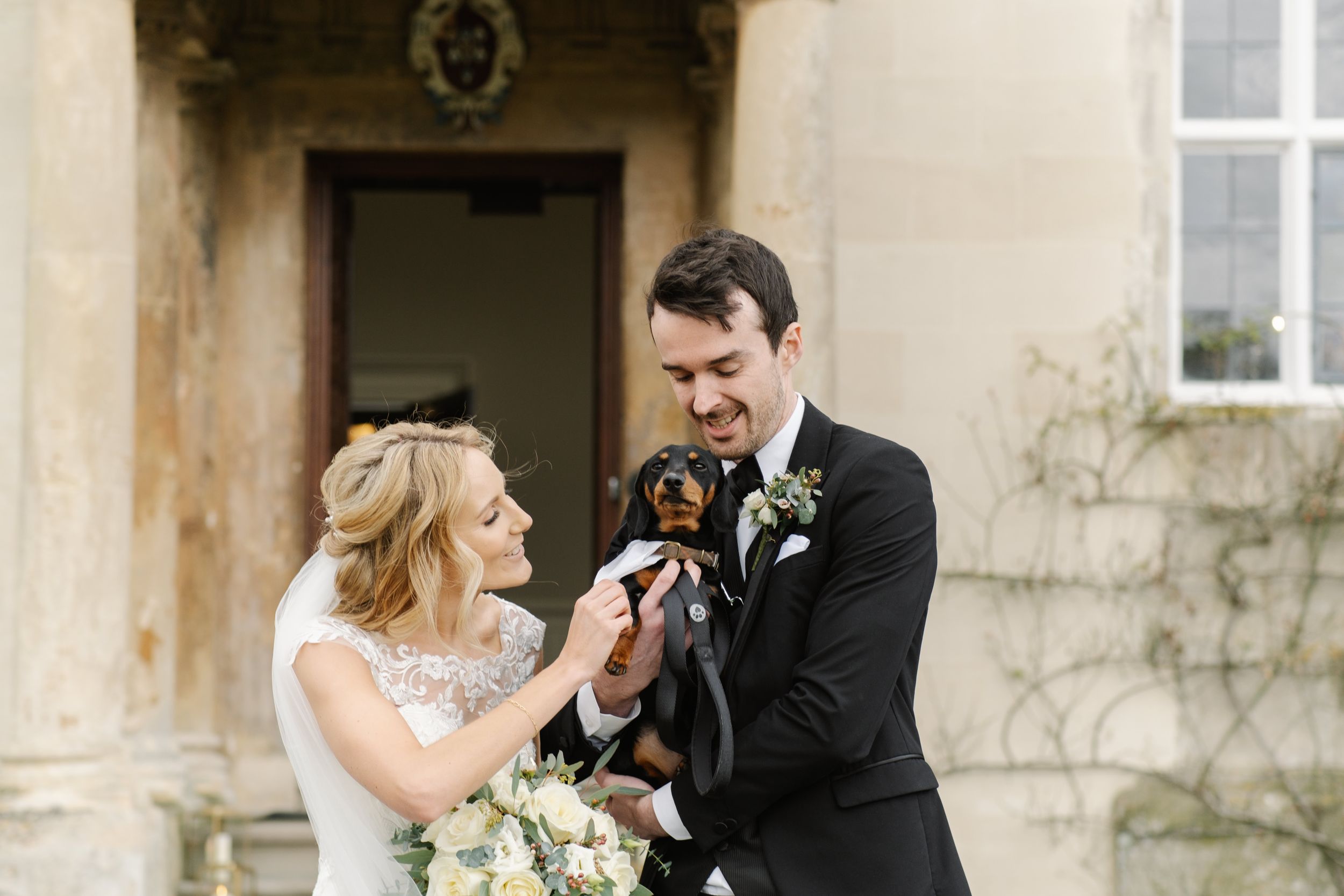Sausage dog with bride and groom