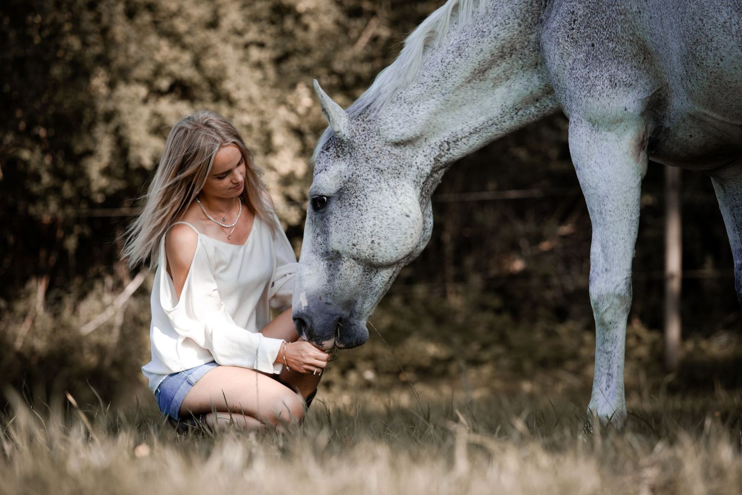 Tender moment between a white horse and person in casual attire sitting in summer field.