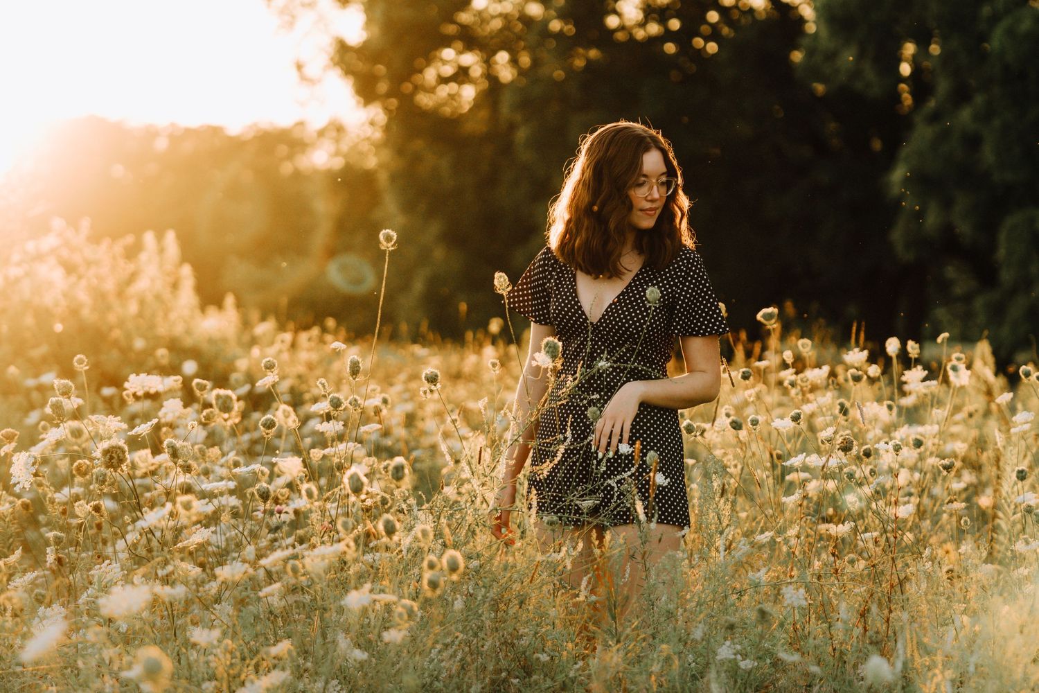 Golden sunset light illuminates a field of wildflowers and tall grass.