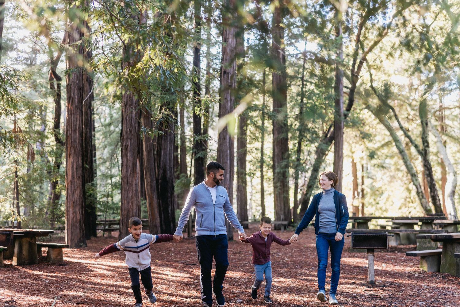 A family holding hands while walking together through a redwood forest trail.