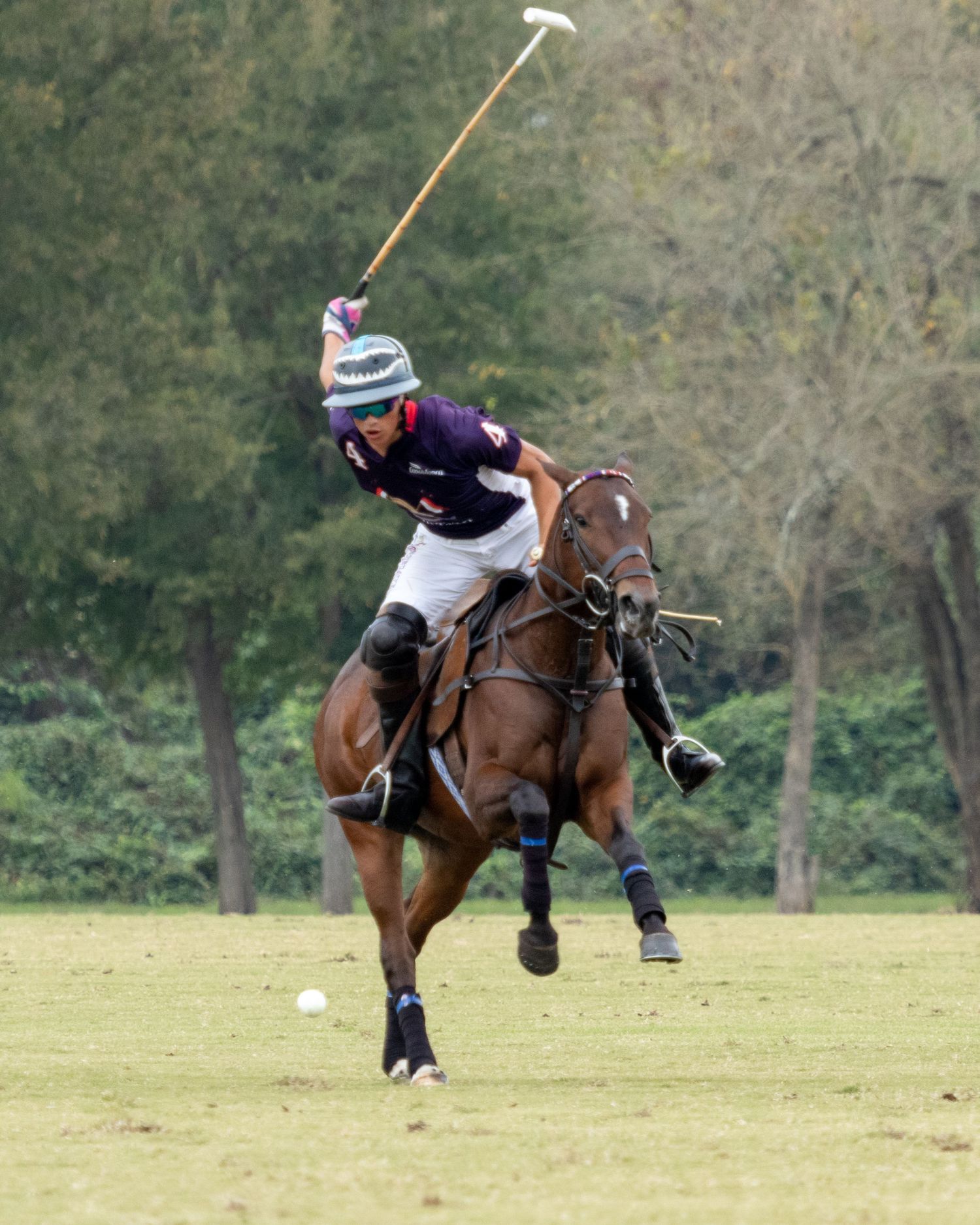 Polo