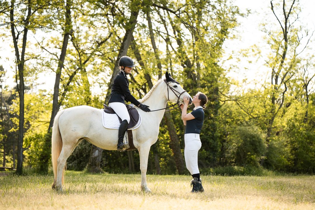 Concours dressage Alsace suivi photo
