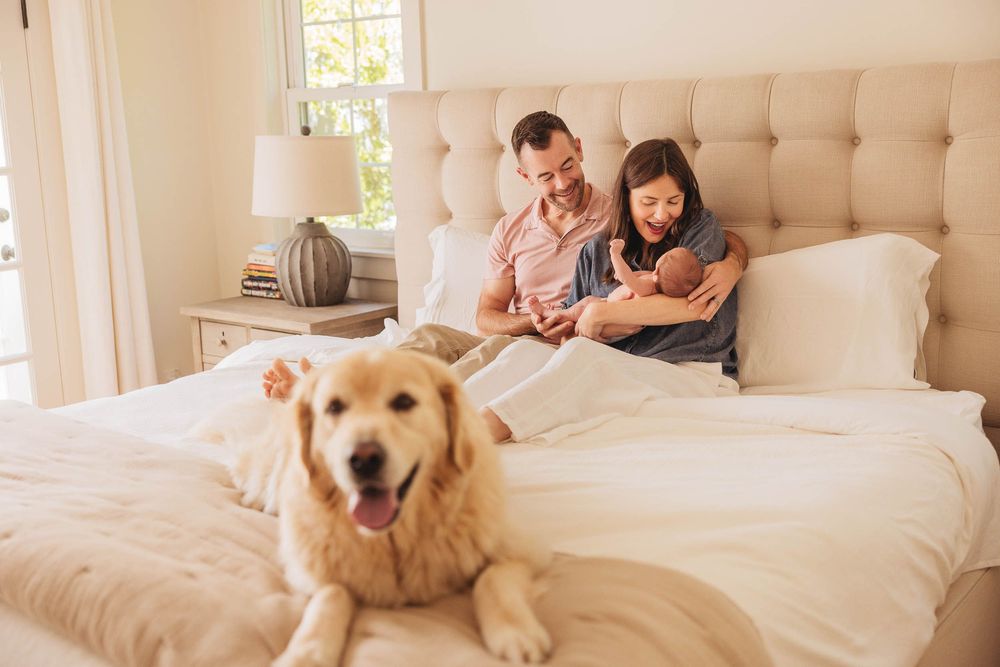 A happy Golden Retriever dog relaxes with family members on a cozy beige bed in a bright sunlit bedroom.