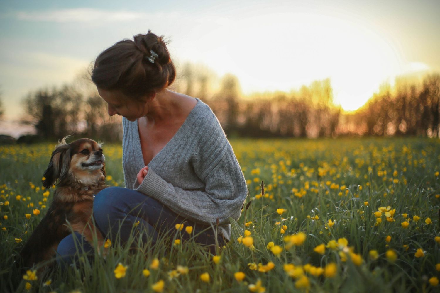 Person in a sweater sitting with their dog in a field of yellow flowers at sunset.