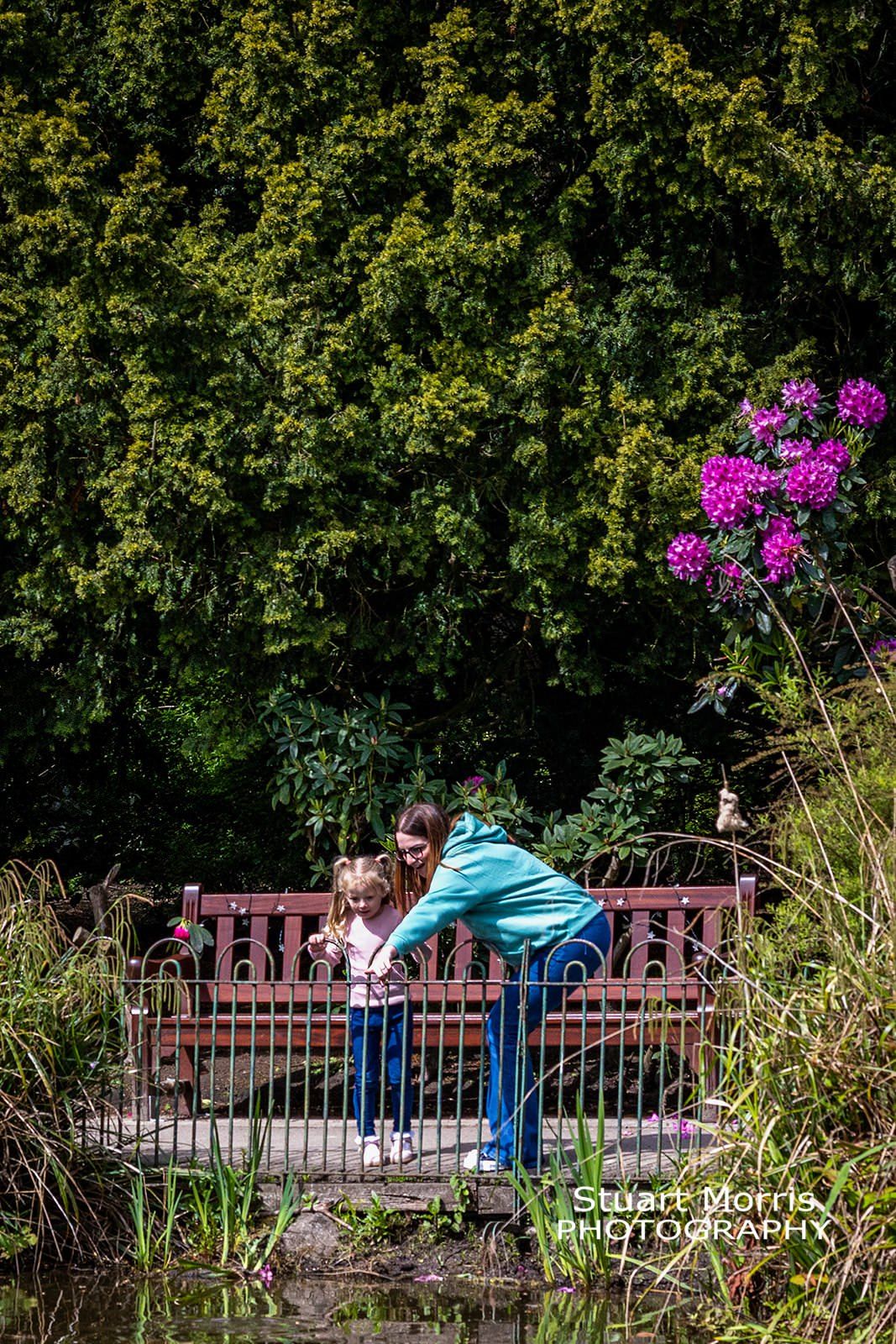 mum and daughter looking at fish in a pond at Walton hall gardens. Cheshire portrait photographer.