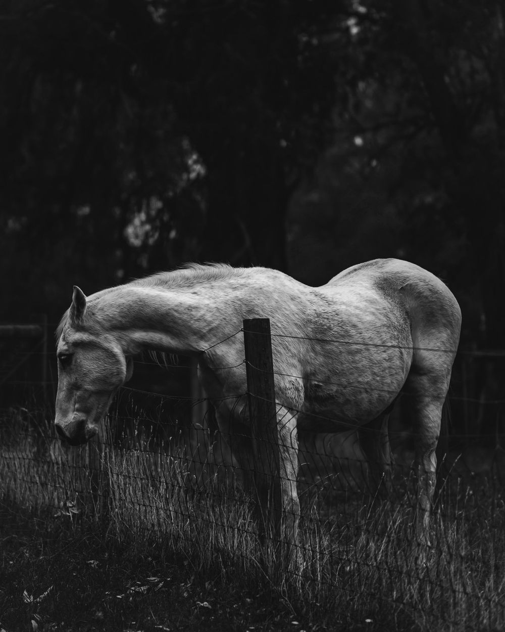 Spurlo Style Photography | Paul Spurling Photographer | Melbourne