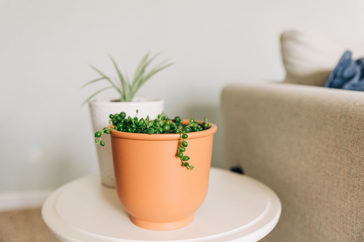 house plants sitting on white table next to chair