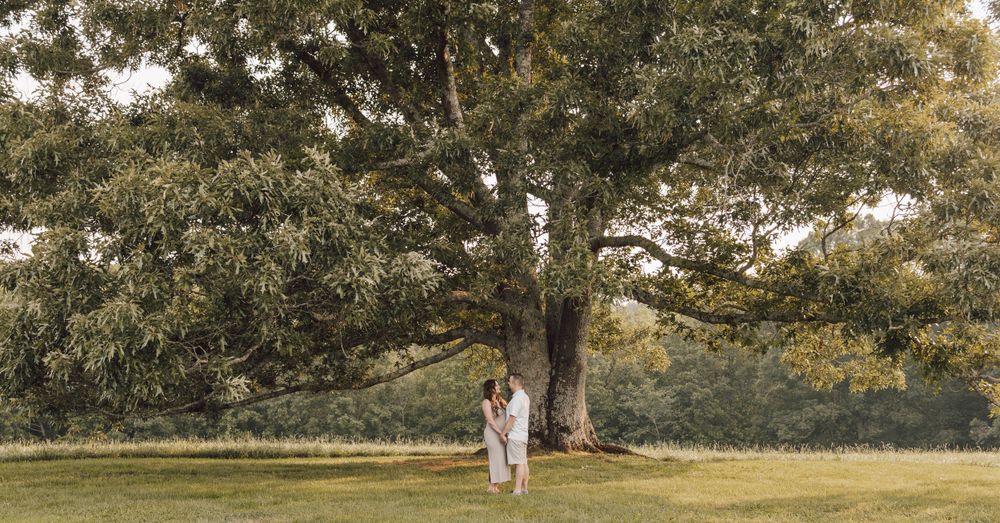 couple under oak tree