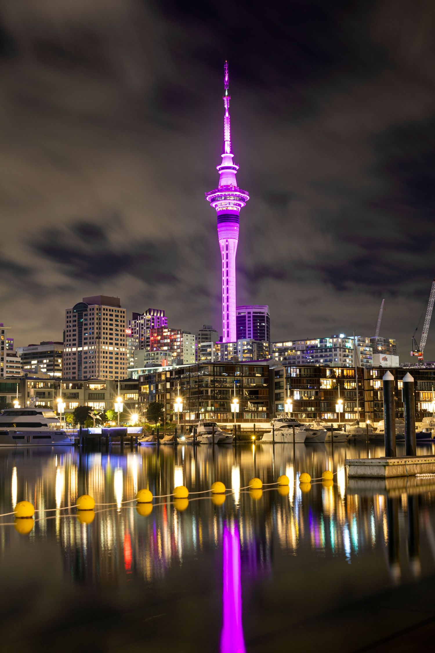 The Sky Tower blazes pink, mirrored in the harbour waters, lighting up Auckland’s night with colour.