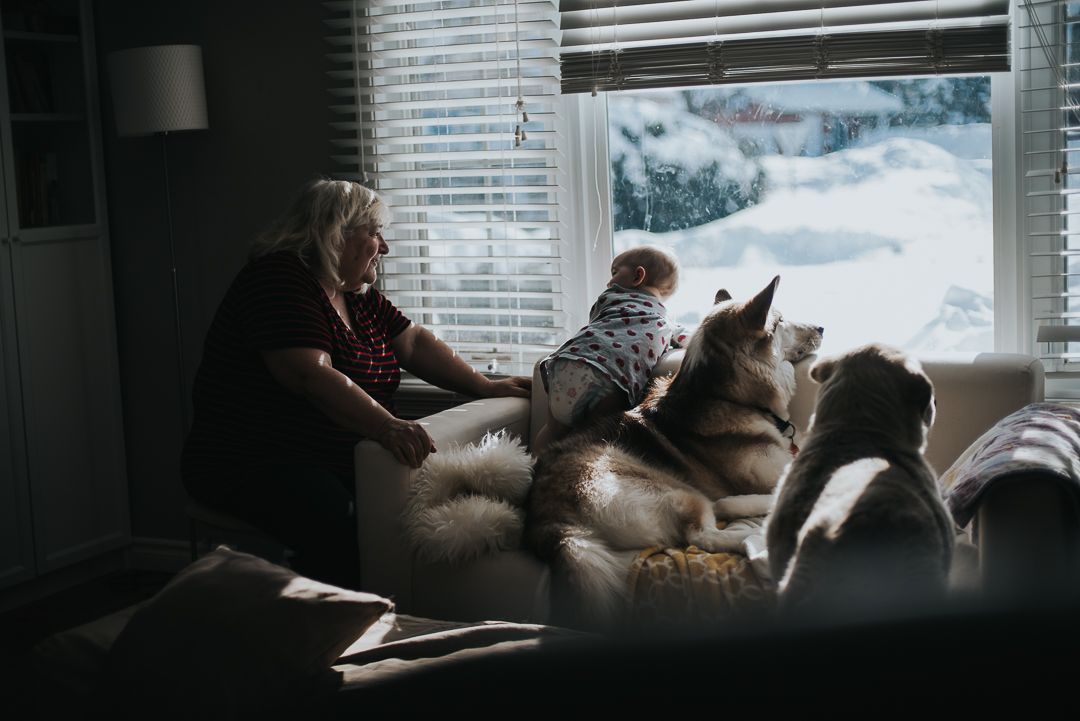 Two dogs, a toddler and a grandmother all sit looking out a winter on a snowy day.