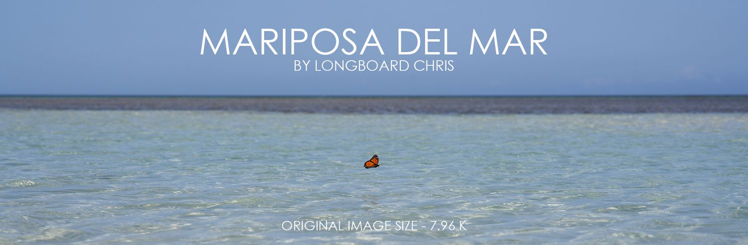 mariposa