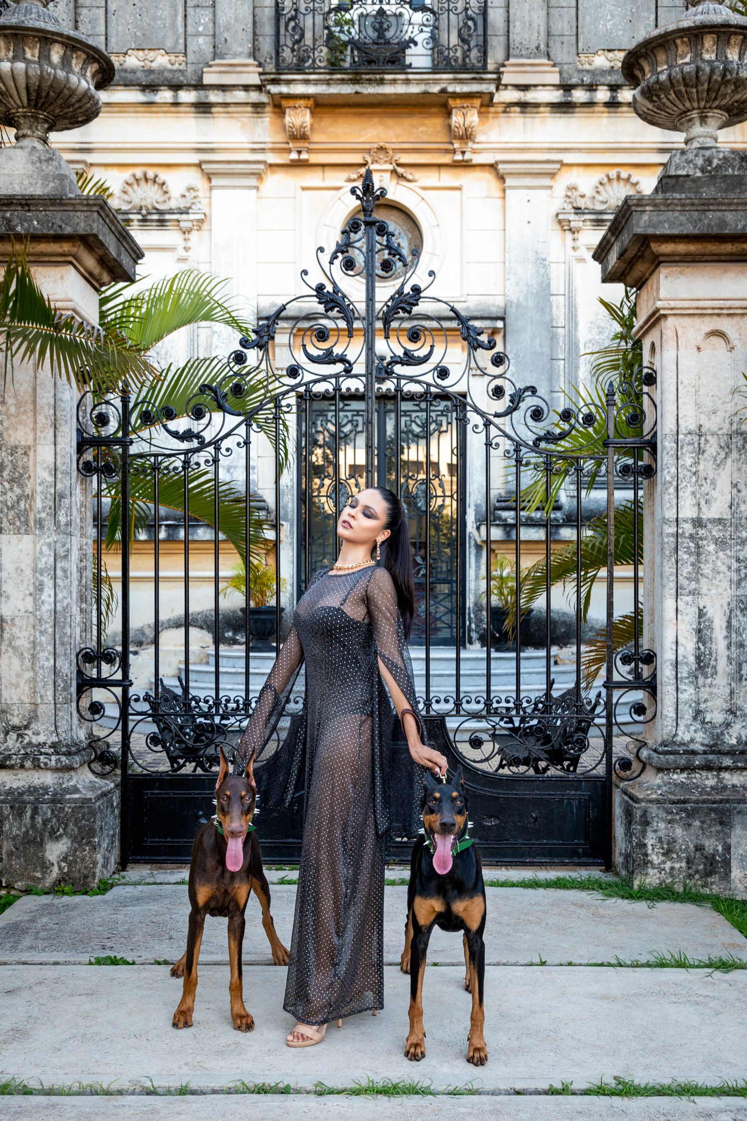 Fotografía canina