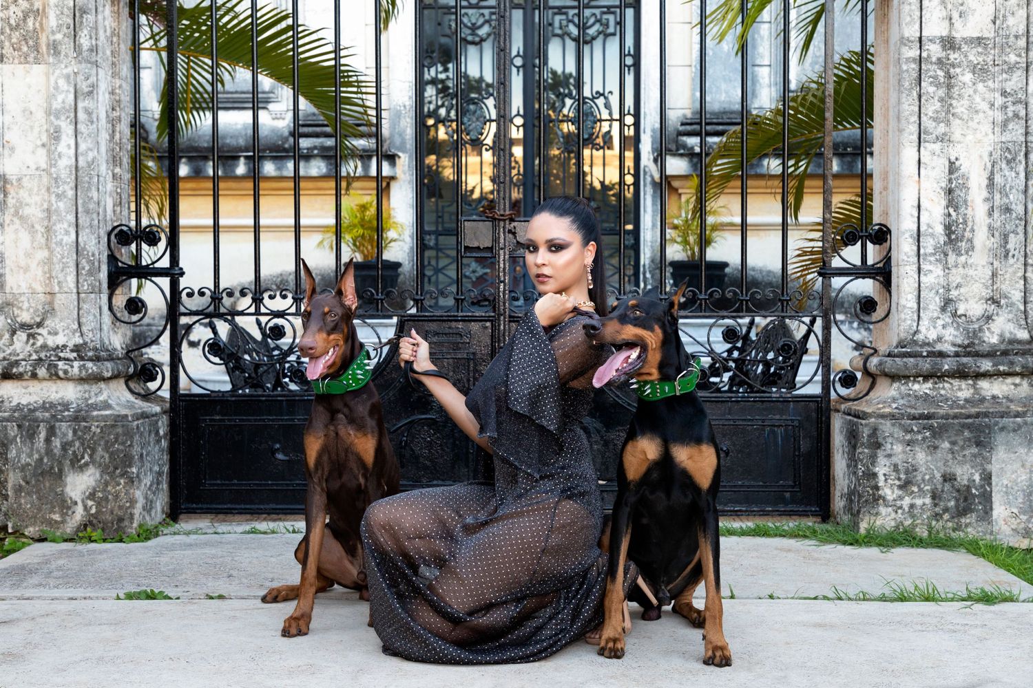 Fotografía canina