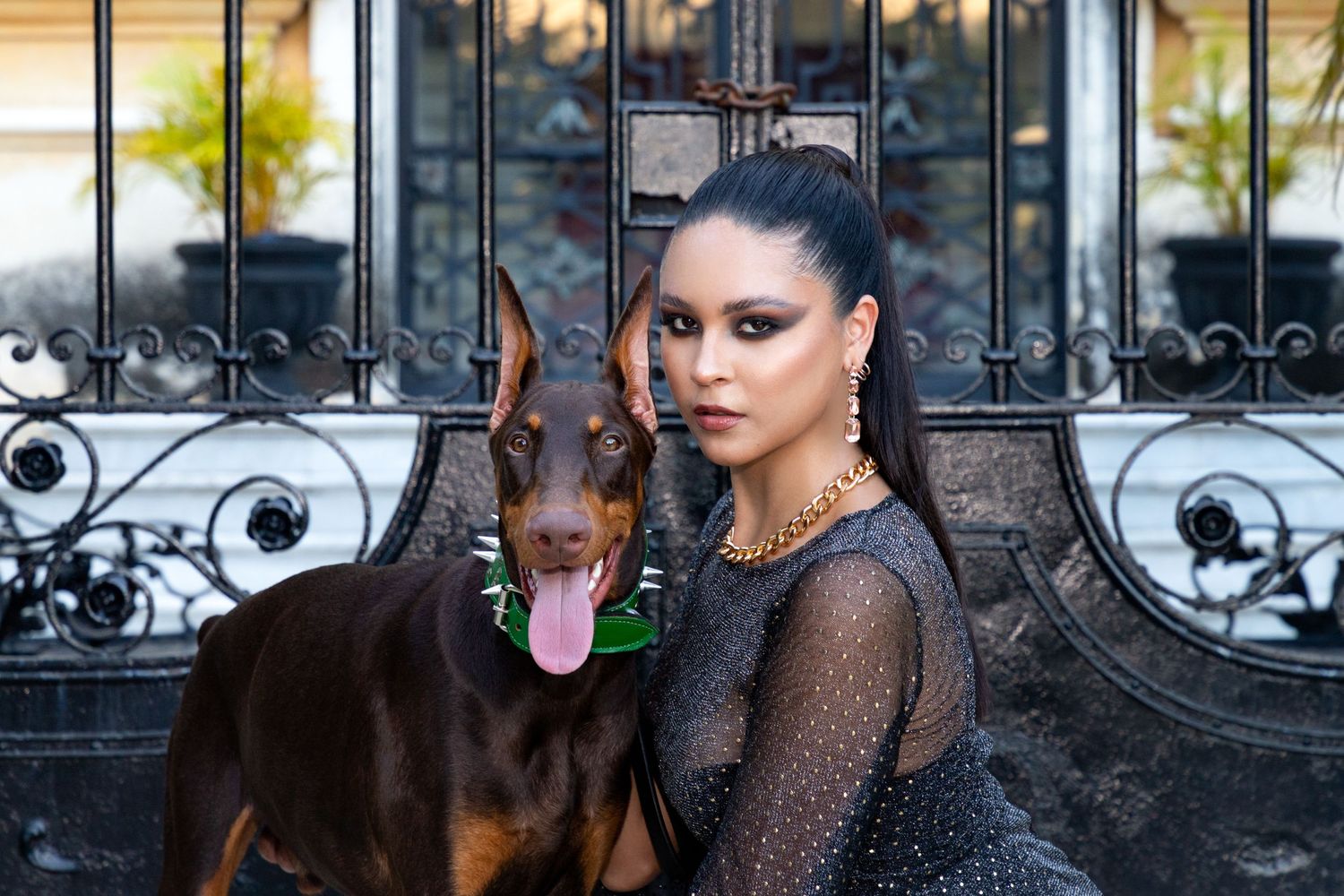 Fotografía canina